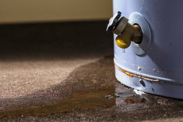 Best Water damage restoration near me  in Coupeville, WA