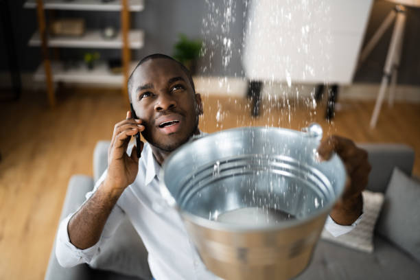 Best Local water damage restoration  in Coupeville, WA