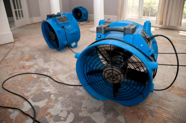 Best Flood restoration services  in Coupeville, WA