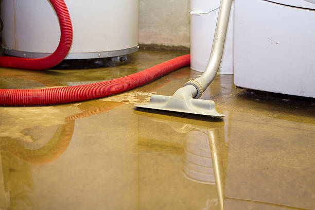 Best Flooded house restoration  in Coupeville, WA