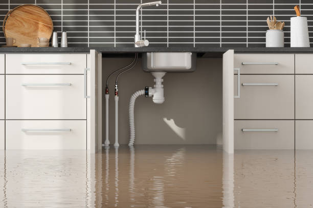 Best Sewage cleanup and water damage restoration  in Coupeville, WA