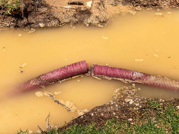 Best 24-hour water damage restoration  in Coupeville, WA