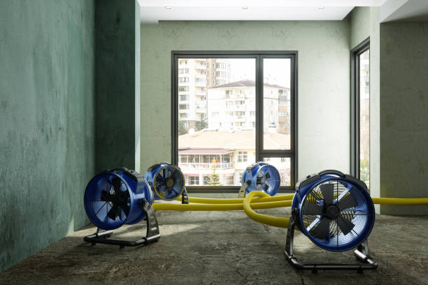 Best Basement water damage restoration  in Coupeville, WA